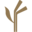 Pietra Pinta