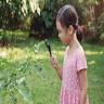 Pincushion Hill Montessori School