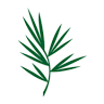 Pine Acres Realty - Rental Division