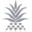 Pineapples, Palms, Etc.