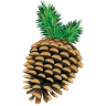 Pinecone Cottage Tea House