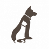 Pine Cone Pet Hospital