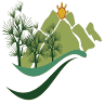 Pine Drive Resort