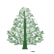 Pine Orthodontics