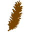 Pines Urology