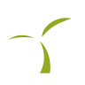 Pinetarreda