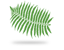 Pine Tax Accounting Perth - SMSF Accountant | Tax Agent | Company Tax | Tax Returns