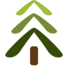 Pine Tree Dental Care