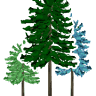Pinewoods Montessori School