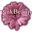 PinkBeauty Organic Skincare
