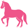 Pink Pony