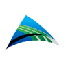 Pinnacle Consulting Group, Inc.