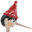 Pinocchio Toys Rome