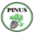 Centrum Ogrodnicze Pinus
