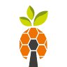PINYA s.r.o.