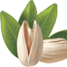 Pistachio