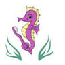 Plaistow Pediatric Dentistry & Orthodontics