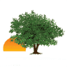Plantation Oaks Of Flagler 55+ Lifestyle Community