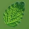 Plantes de Pays