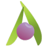 Plantiful Superfoods