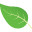 Plant the Future