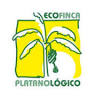 Ecofinca Platanológico
