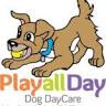 Play All Day Daycare, Hotel, & Market