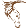 Pleasant Valley Equine Vet Service, LLC