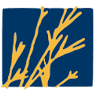 Prairie Land Services Inc