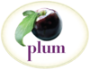 Plum Bakery Gluten Free