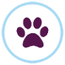 Plum Street Pet Clinic