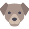 Plymouth Animal Hospital