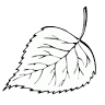 Pod Brzozą