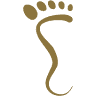 Podiatry Illawarra PTY Ltd.