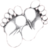 Podiatry practice Claudia Webers