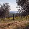 Poggio Cagnano