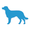 Pointe South Animal Hospital