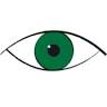 Point of View Eyecare