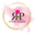 Pointroses Flowers