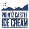 Pointz Castle Ice Cream