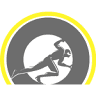 Polach Logistics & Transport