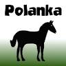 Agroturystyka POLANKA