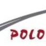 Polonia Logistyka Dąbrowa Górnicza
