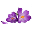 Vigne SARL