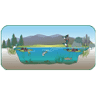 Organic Sediment Removal Systems