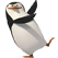 Ponto Frio Cooling