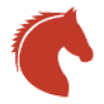 Pony club aragon