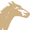 Ponyhof Müller