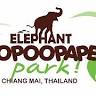 Elephant POOPOOPAPER Park Chiang Mai
