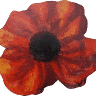 Poppy Cottage Gallery